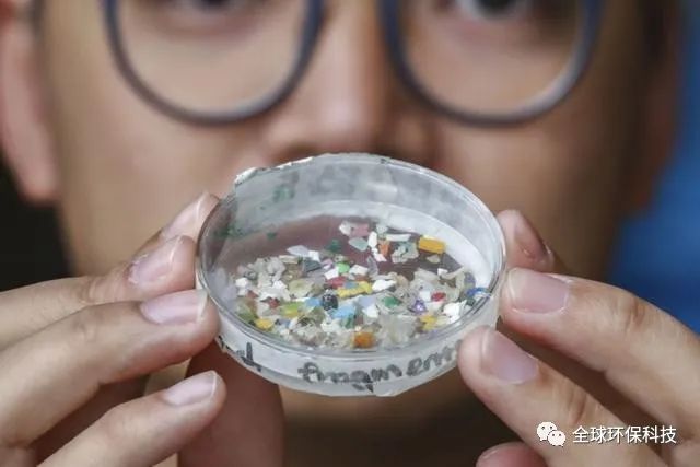 關(guān)于“微塑料”的危害,你了解多少?